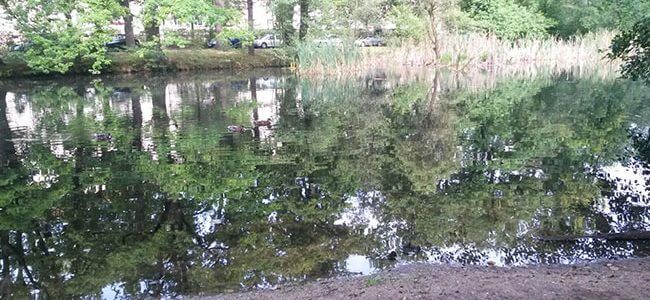 Therapeutisches Wandern – jetzt auch in Ottendorf-Okrilla Therapeutisches Wandern – jetzt auch in Ottendorf-Okrilla